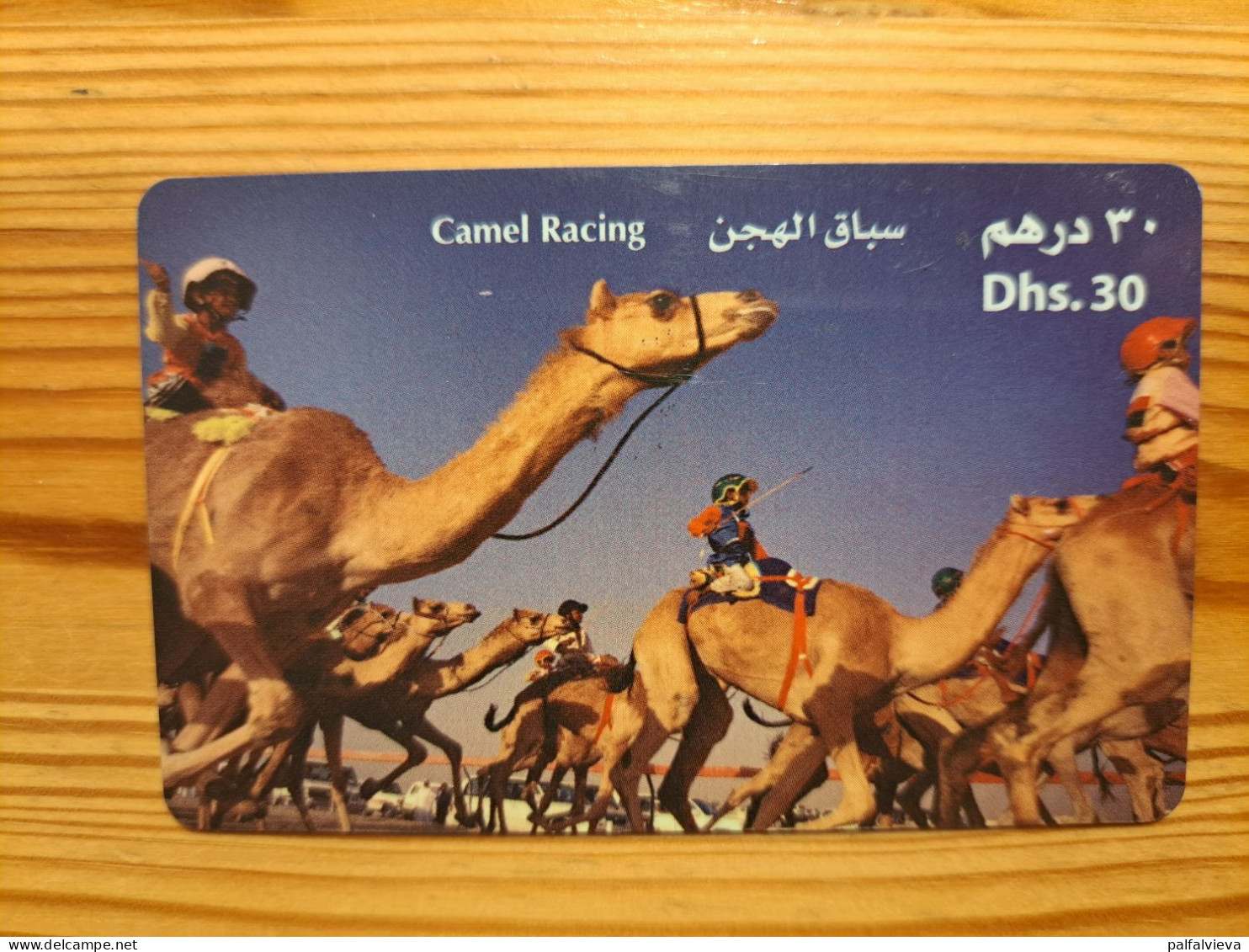 Prepaid Phonecard United Arab Emirates, Etisalat - Camel - Ver. Arab. Emirate
