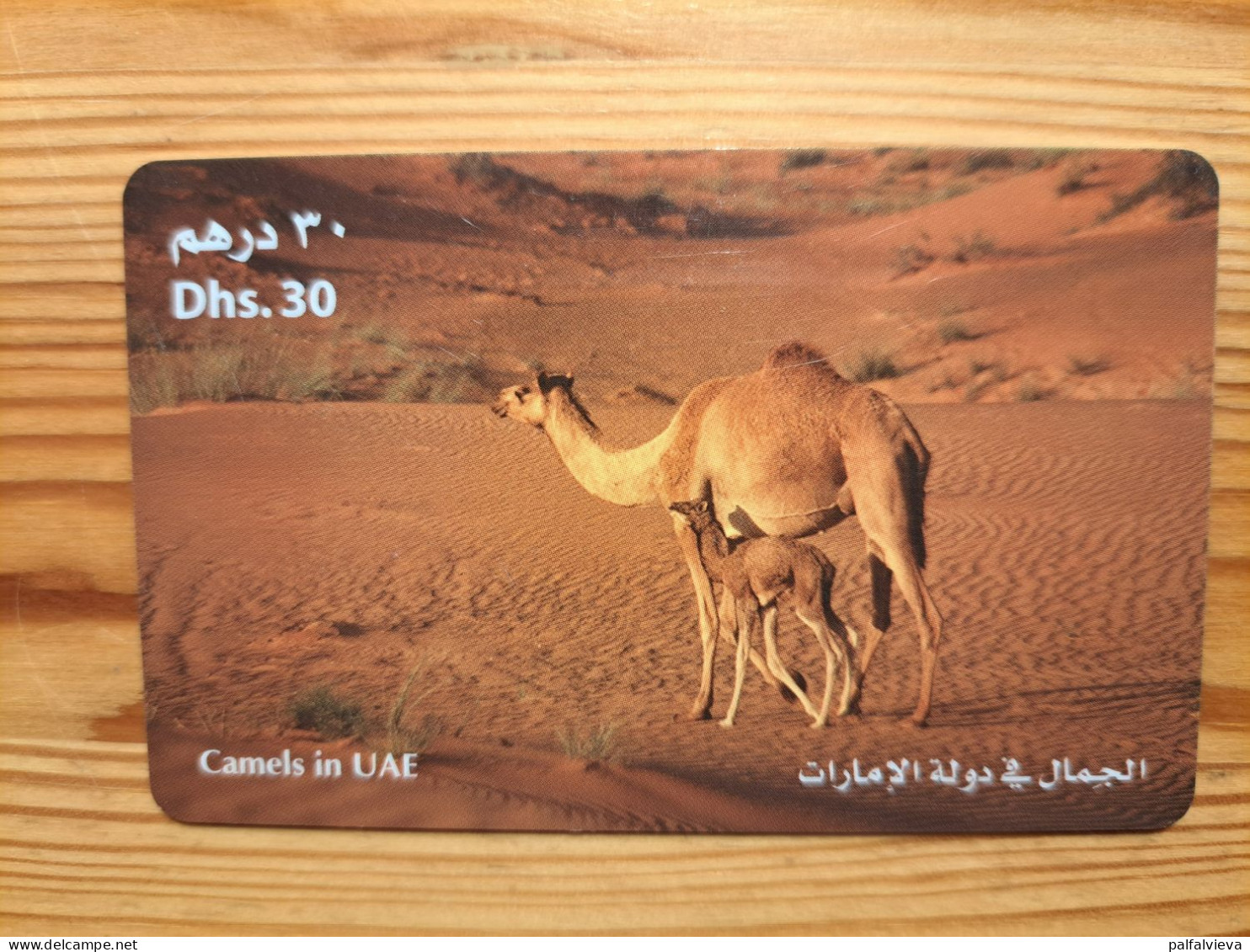 Prepaid Phonecard United Arab Emirates, Etisalat - Camel - Ver. Arab. Emirate