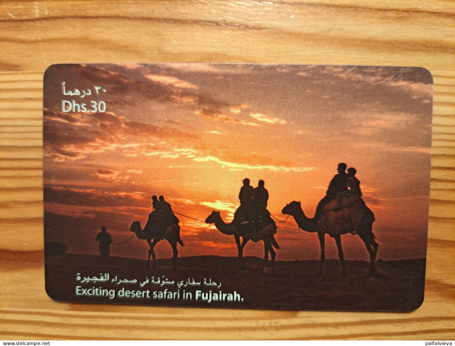 Prepaid Phonecard United Arab Emirates, Etisalat - Camel - Emirats Arabes Unis