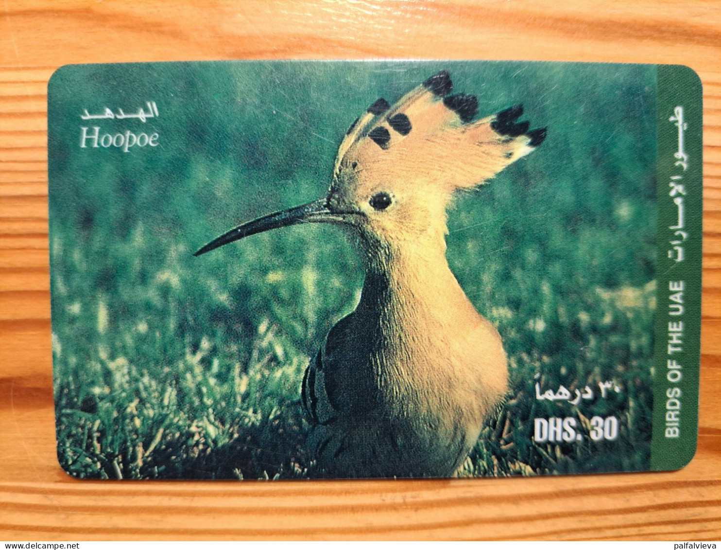 Prepaid Phonecard United Arab Emirates, Etisalat - Bird - Ver. Arab. Emirate