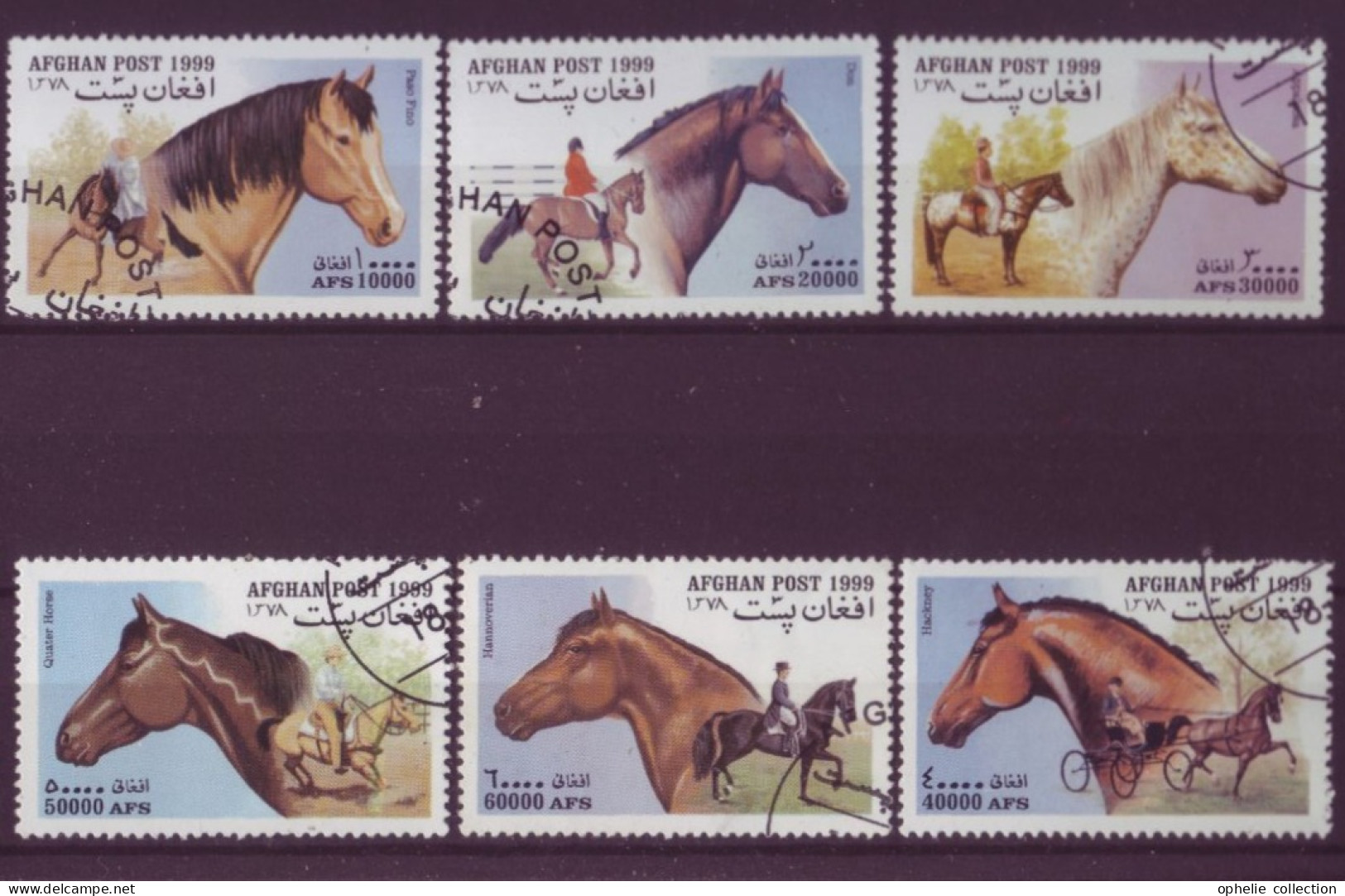 Asie - Afghanistan - 1999 - Chevaux - 6  Timbres Différents - 6696 - Afghanistan