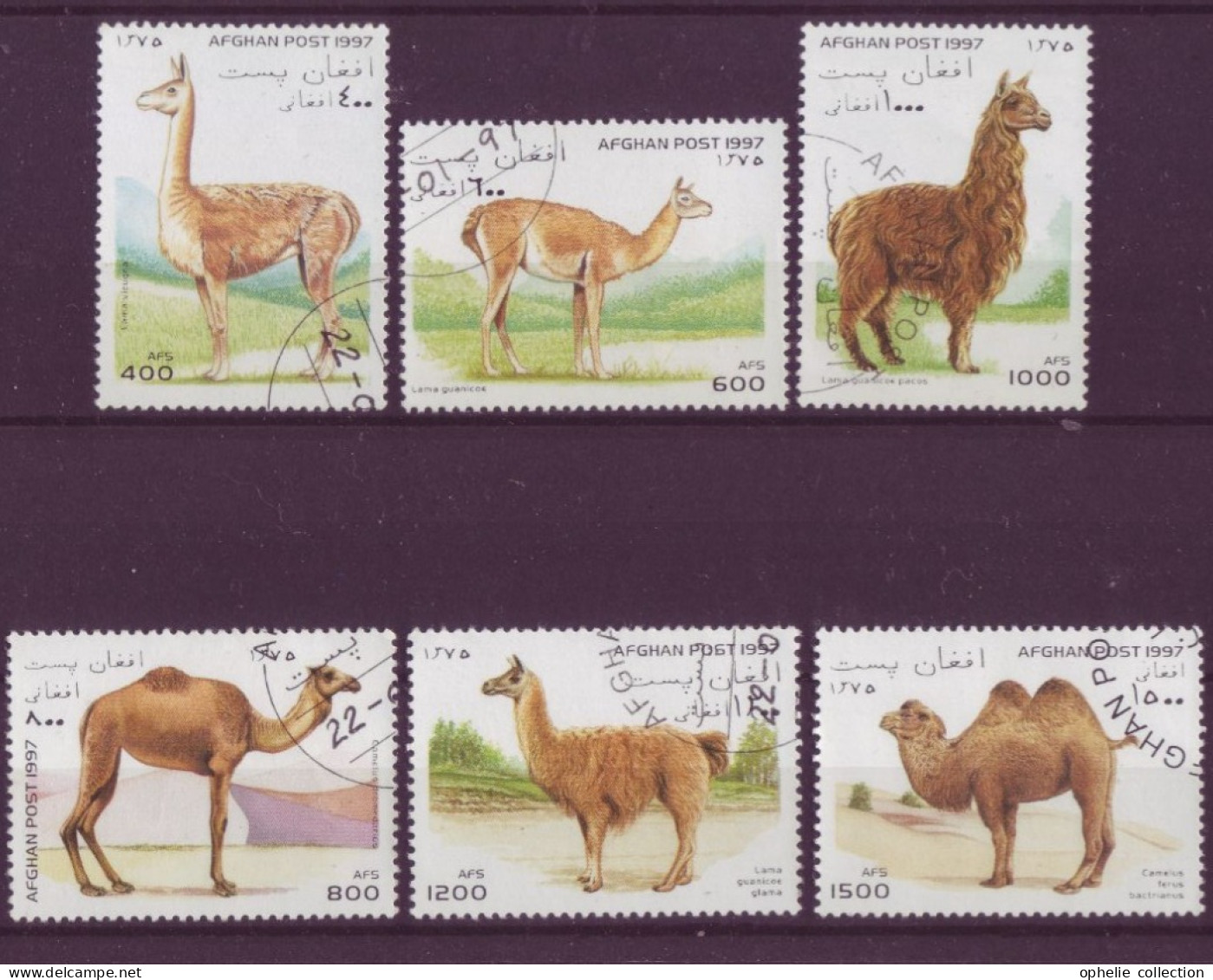 Asie - Afghanistan - 1997 - Faune - 6  Timbres Différents - 6697 - Afghanistan