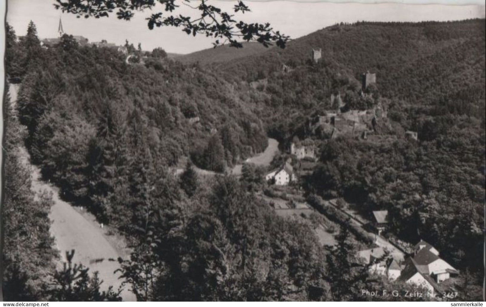 41628 - Manderscheid - Mit Ober- Und Niederburg - Ca. 1960 - Manderscheid