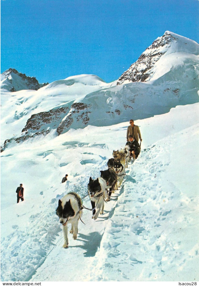 6 CP CHEVAUX MONT ST GOTTHARD-PASS CHALET BOUQUETINS CHIENS DE TRAINEAUX VOIR SCANS - Sammlungen & Sammellose