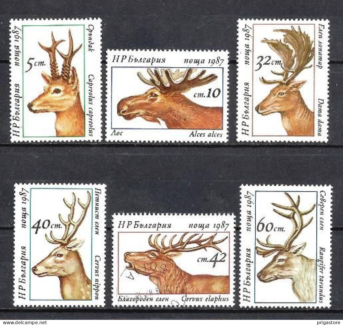 Bulgarie 1987 Animaux Cervidés (140) Yvert N° 3095 à 3100 Oblitéré Used - Gebraucht