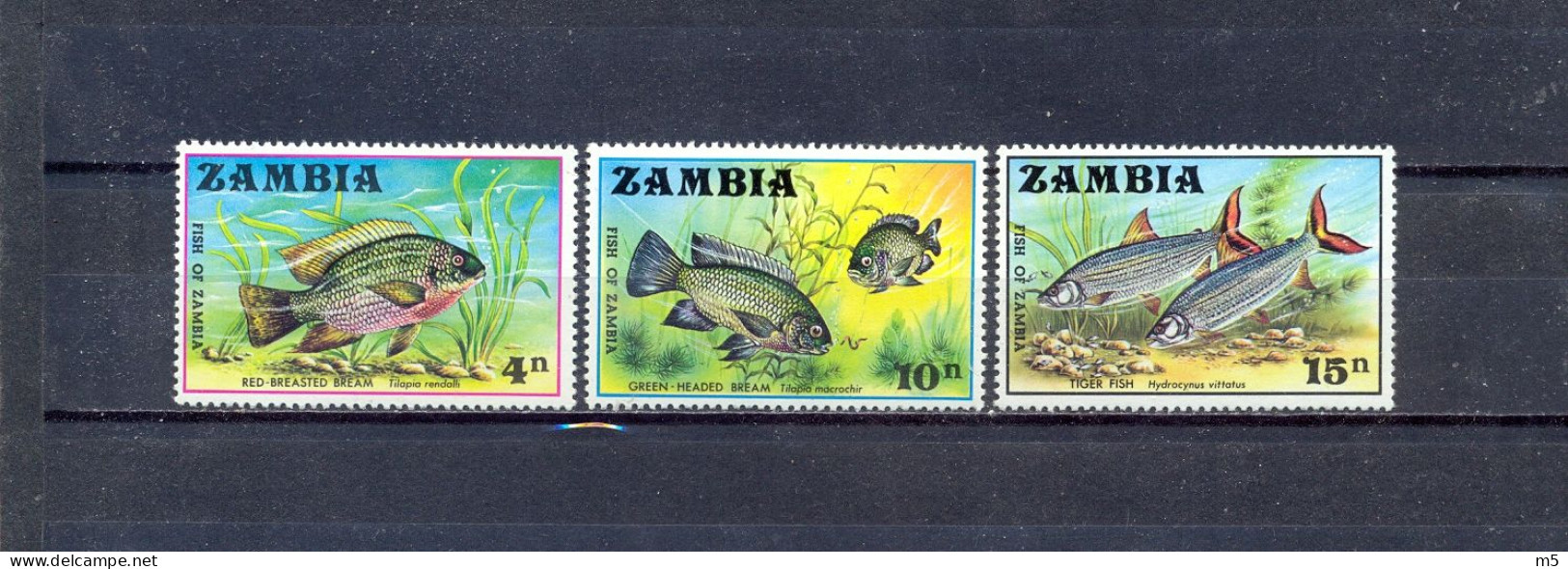 ZAMBIA - MNH - FISHES -  MI.NO.74/6 - CV = 3,6 € - Zambie (1965-...)