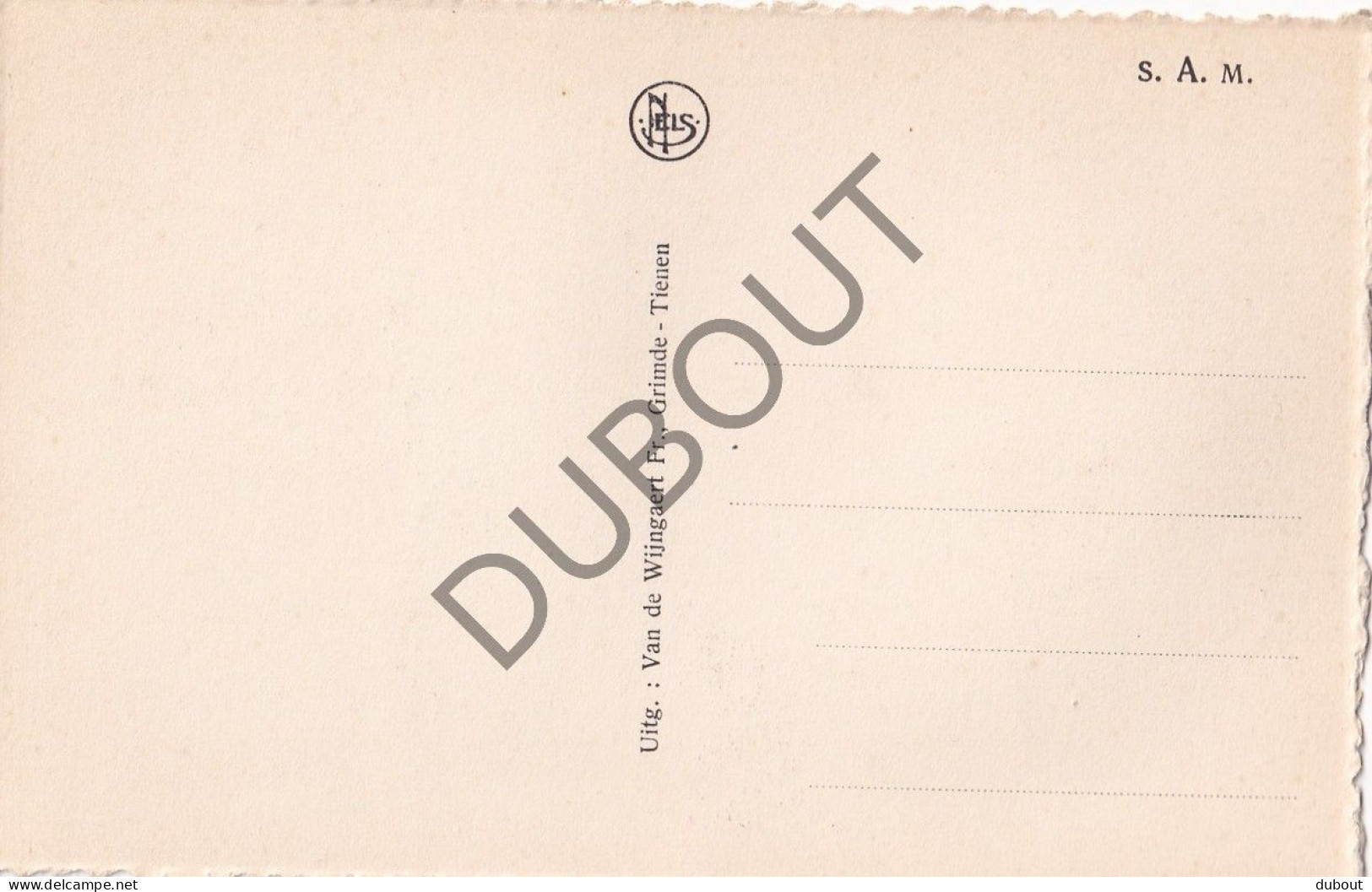 Postkaart - Carte Postale - Tienen - Nécropole  (C5810) - Tienen
