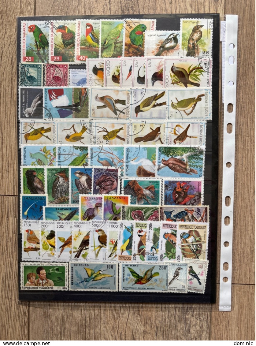 Thème Oiseaux Lot 3 - Collections, Lots & Series
