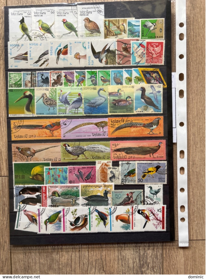 Thème Oiseaux Lot 15 - Collezioni & Lotti