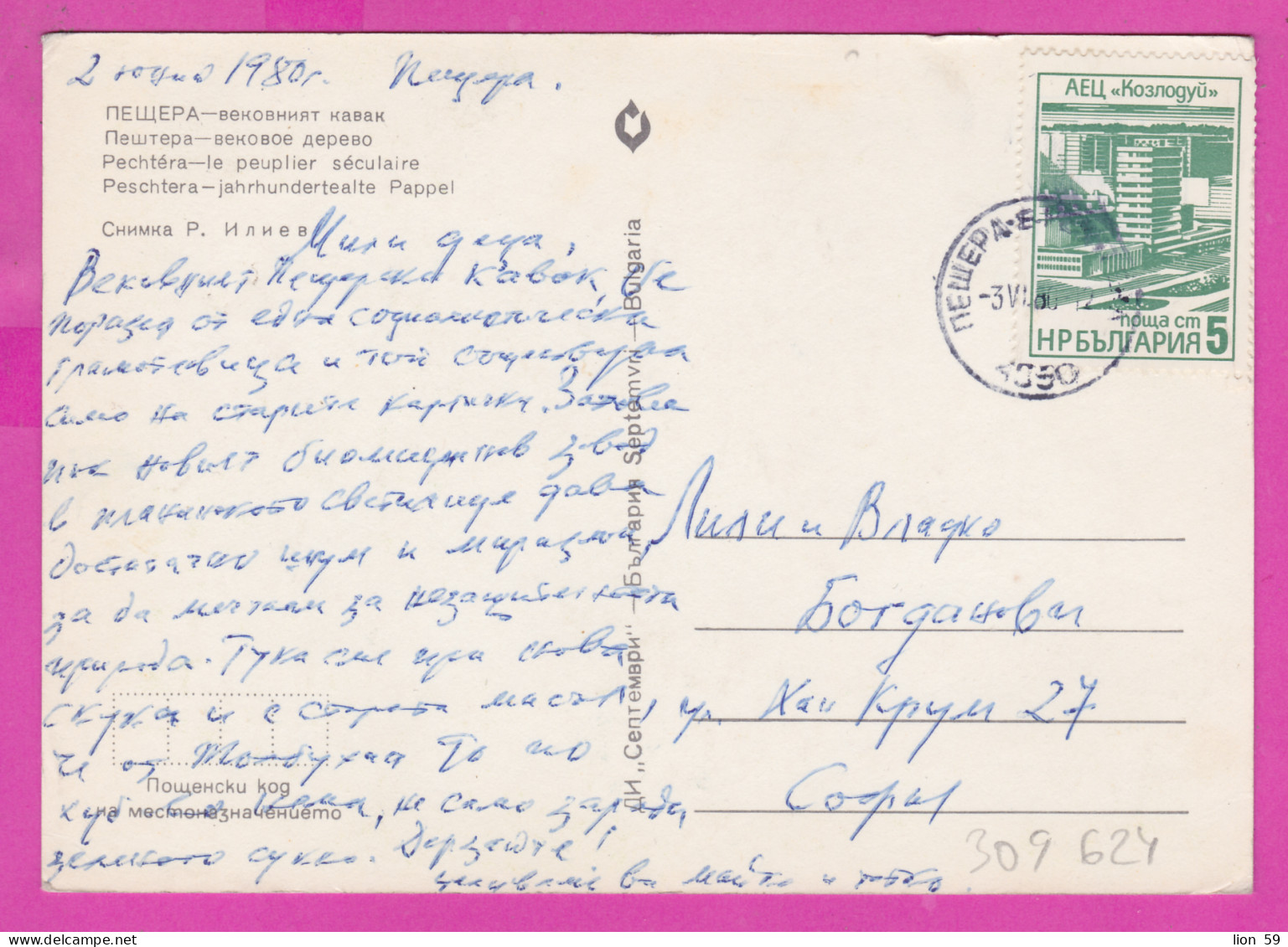 309624 / Bulgaria - Peshtera Town - The Century-old Kawak Tree PC 1980 USED - 5 St. Kozloduy Nuclear Power Plant  - Cartas & Documentos