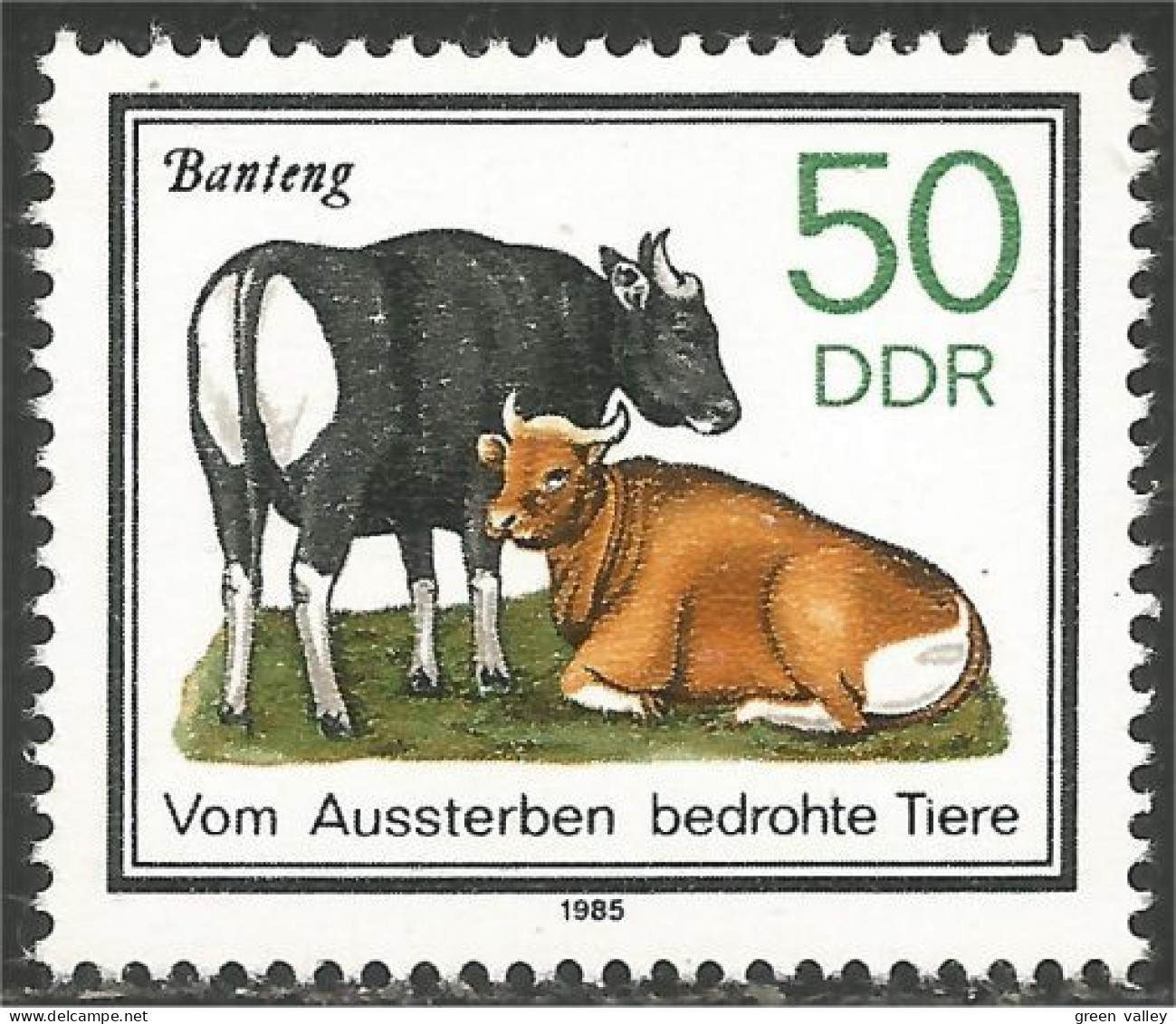 444 Germany DDR Vache Cow Vaca Kuh Koe Mucca Vacca Banteng MNH ** Neuf SC (DDR-20) - Koeien