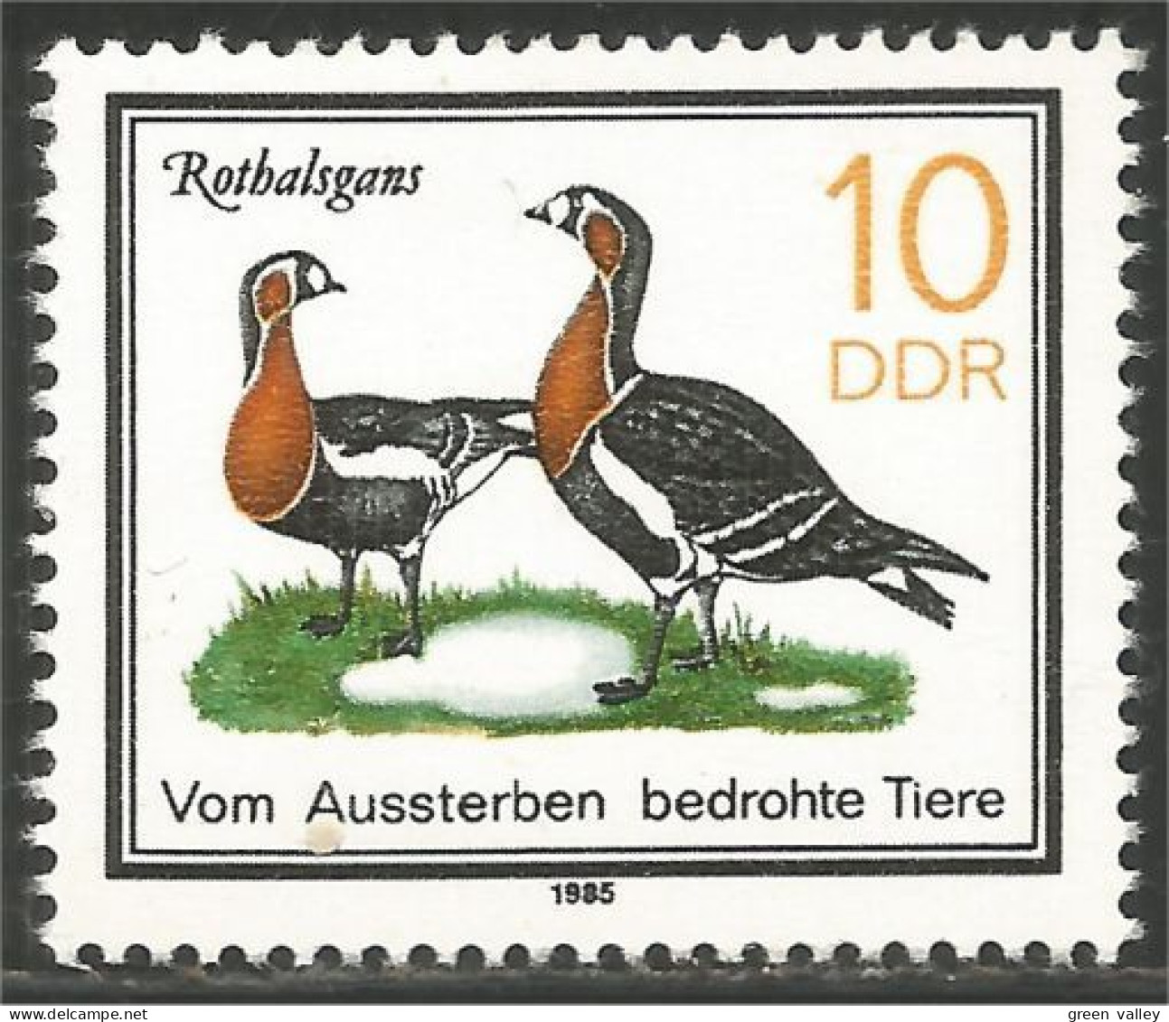 444 Germany DDR Oie Gans Goose Rathalsgans Ganso Oca MNH ** Neuf SC (DDR-19) - Gansos