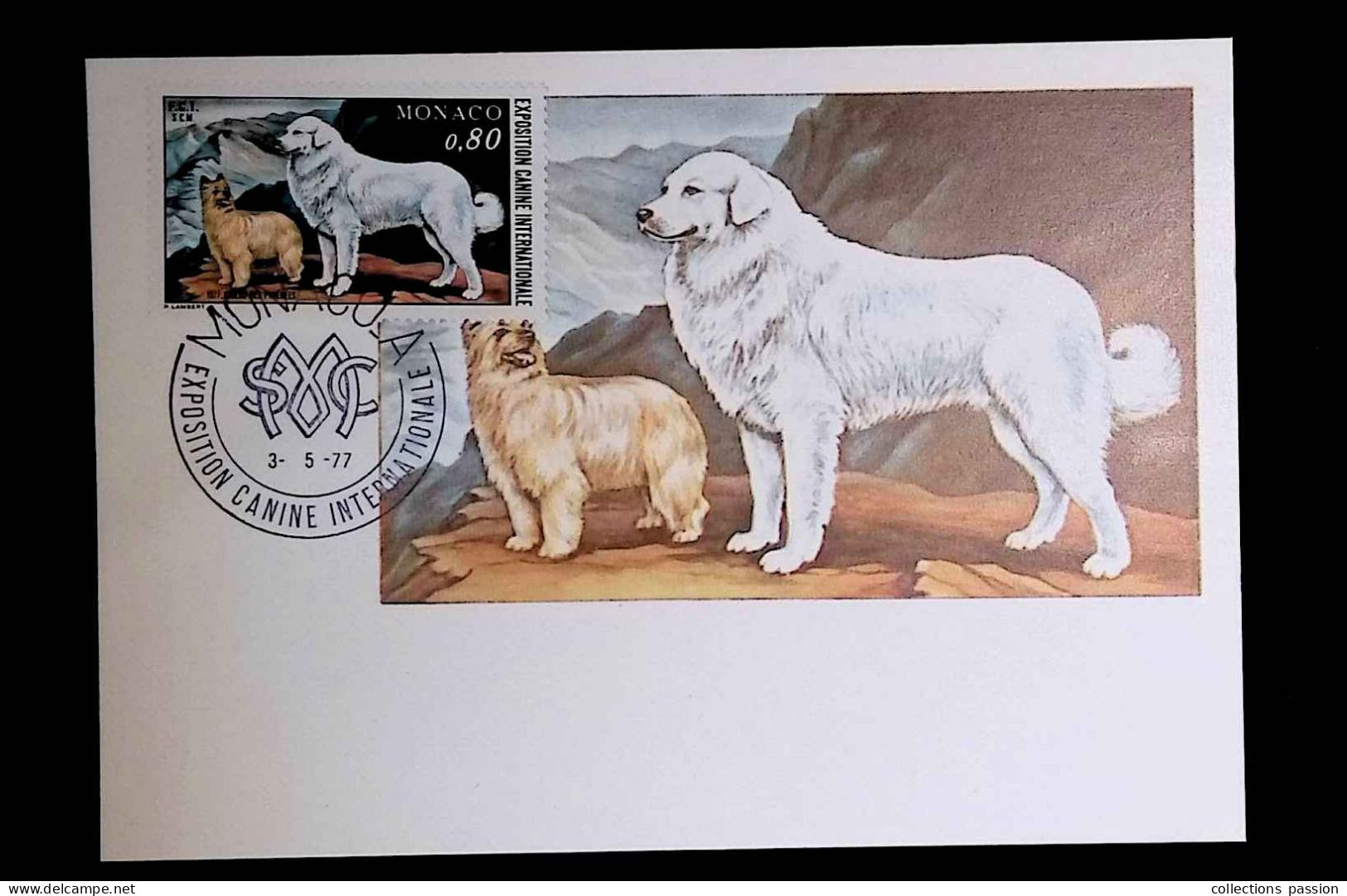 CL, Carte Maximum, Monaco. A, Exposition Canine Internationale, 3-5-1977, Les Chiens Des Pyrénées - Cartoline Maximum