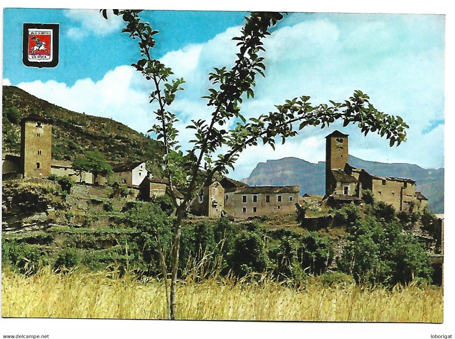 AL FONDO MONDARRUEGO, VISTA PARCIAL.- VALLE DE BROTO.-  ALTO PIRINEO DE ARAGON.-  BROTO / HUESCA.- ( ESPAÑA ) - Huesca