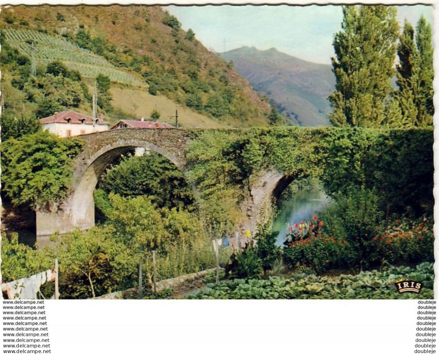 D64  BIDARRAY  Le Pont Romain  ..... - Bidarray