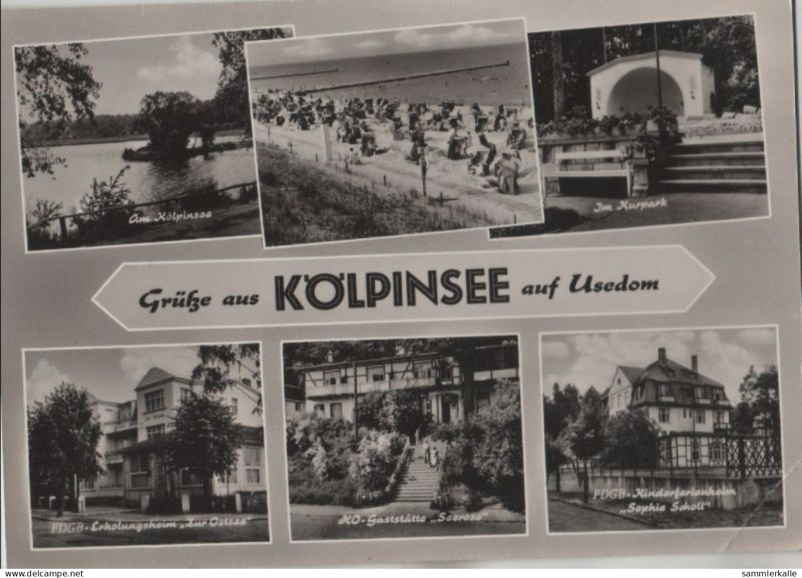 111883 - Loddin-Kölpinsee - 6 Bilder - Greifswald