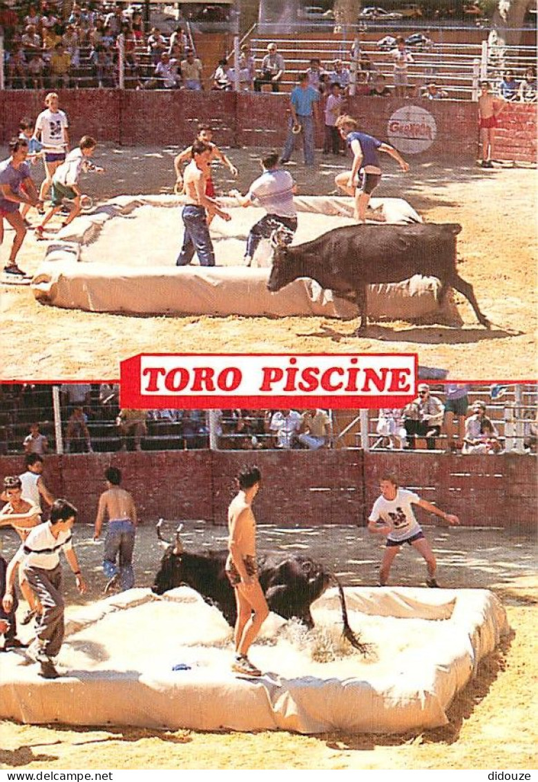 Corrida - Toro Piscine - ) Des Jeunes Gens Doivent Attirer Le Taureau Dans Une Piscine - Multivues - CPM - Voir Scans Re - Corridas