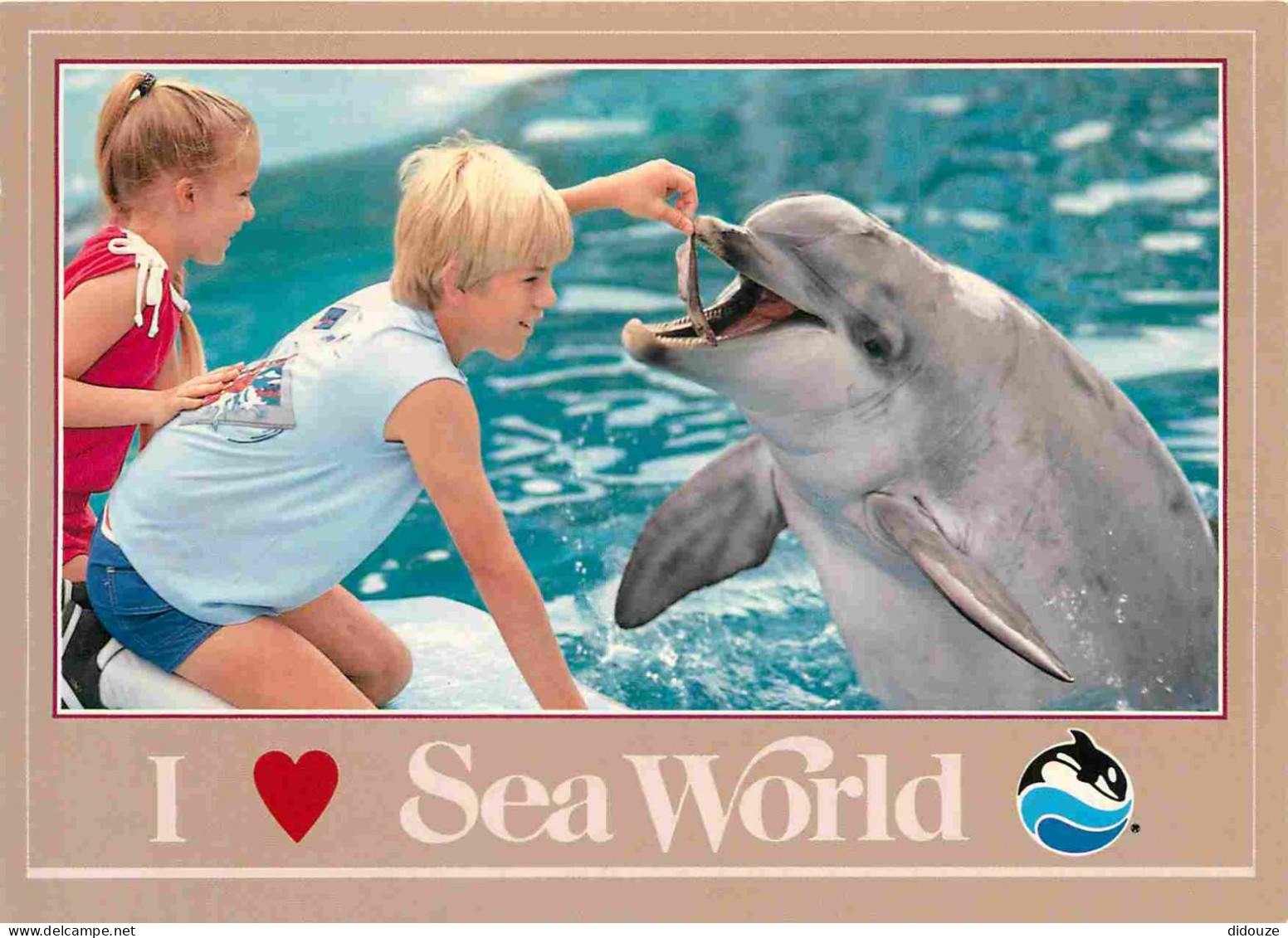 Animaux - Sea World - Feed A Dolphin - Zoo Marin - CPM - Carte Neuve - Voir Scans Recto-Verso - Delfines