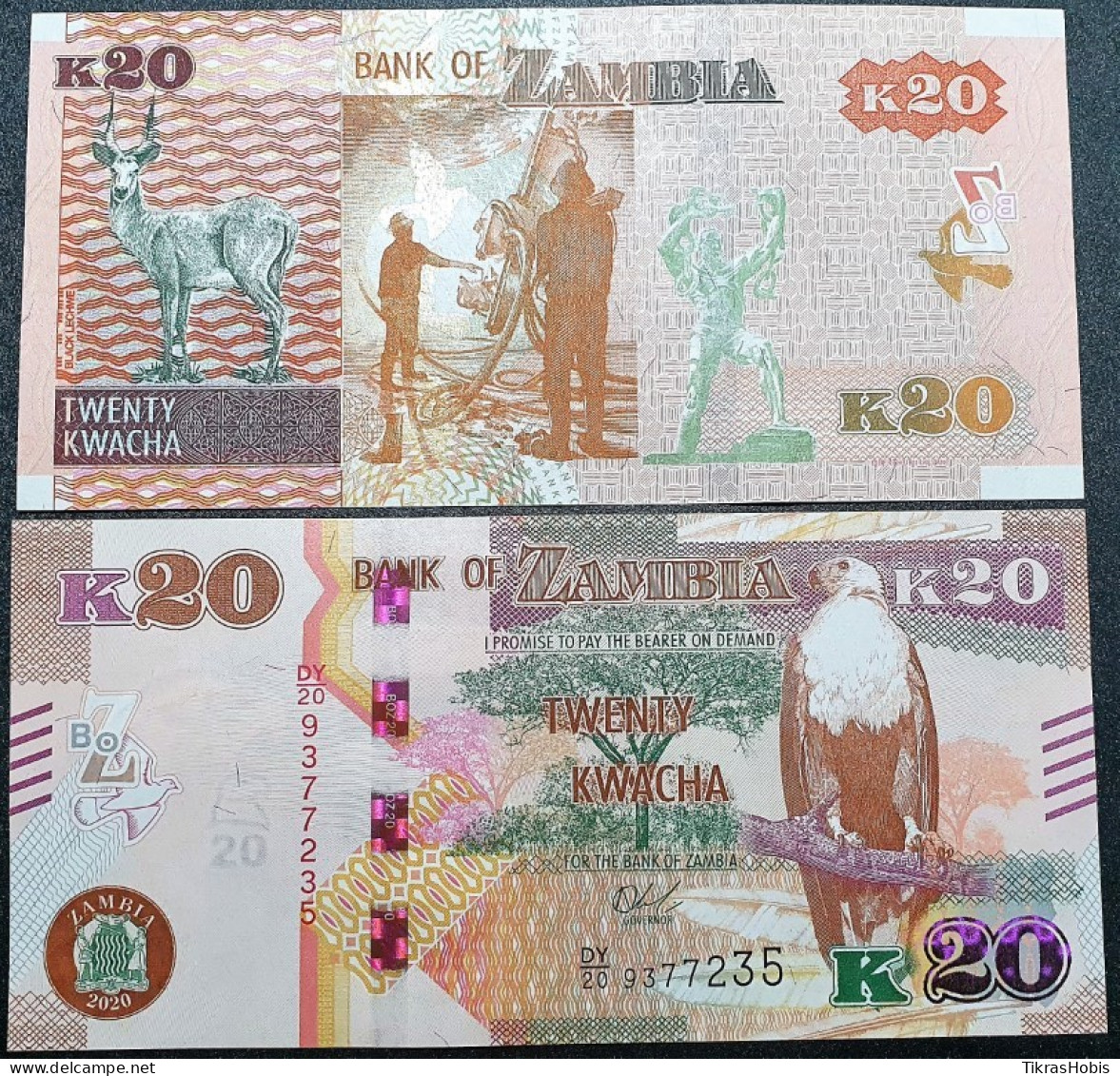 Zambia 20 Kwacha, 2020 P-59C - Zambie