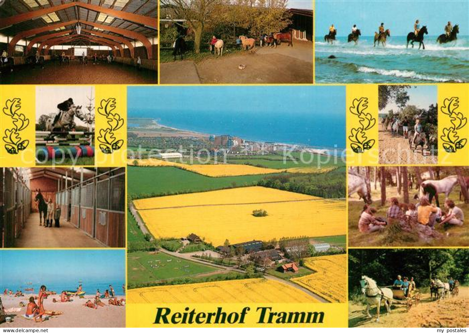73531793 Damp Reiterhof Tramm Reiten Kutschfahrten Strand Fliegeraufnahme Damp - Damp