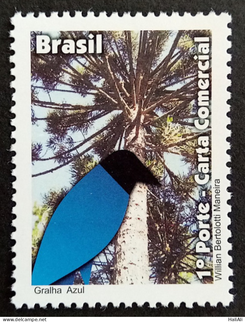 C 3155 Brazil Depersonalized Stamp Bird Gralha Azul Araucaria 2011 - Unused Stamps