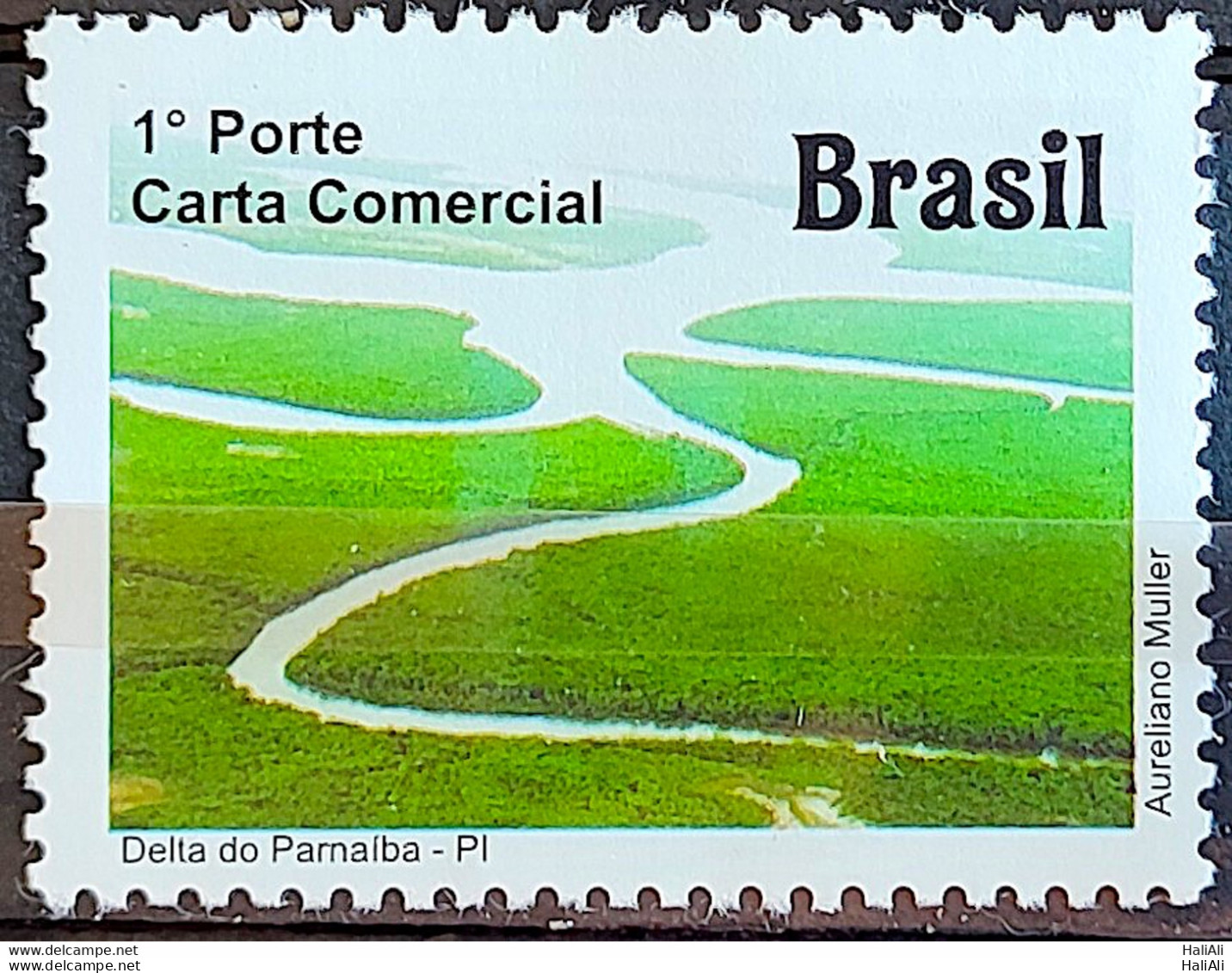 C 3113 Brazil Stamp Depersonalized Piaui Tourism 2011 Delta Do Parnaiba - Personnalisés