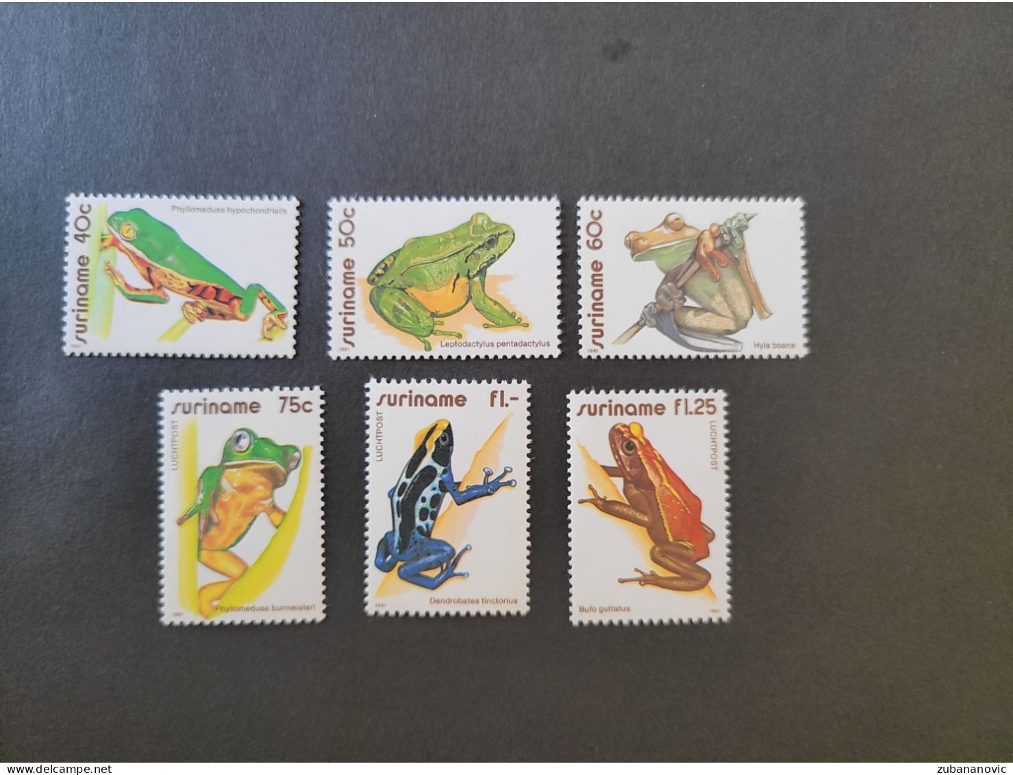 Suriname 1981 Frogs - Grenouilles