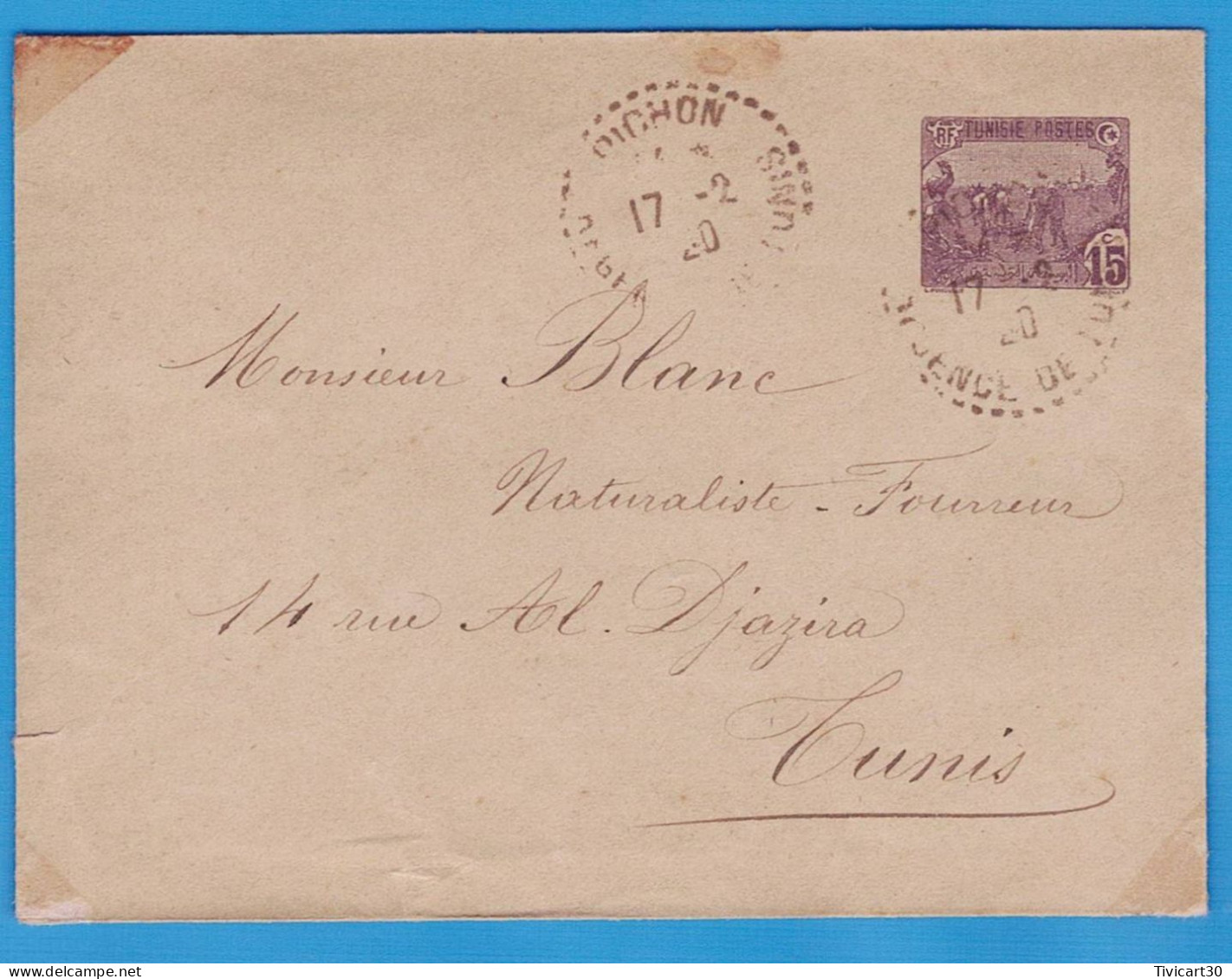 ENVELOPPE ENTIER POSTAL TUNISIE - 15 C. LABOUREURS VIOLET - REGENCE DE TUNIS - OBLITERATION DE 1920 - Brieven En Documenten