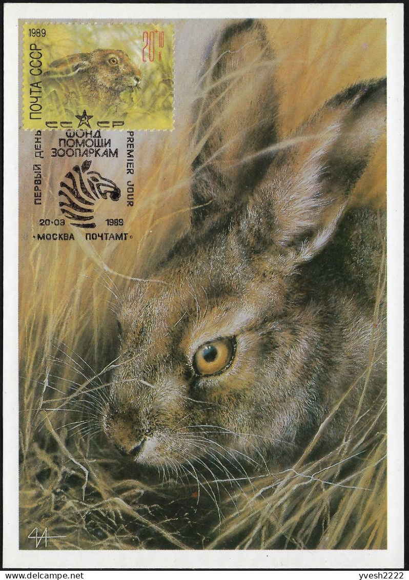 URSS 1989 Y&T 5616. Carte Maximum. Écureuil - Rabbits