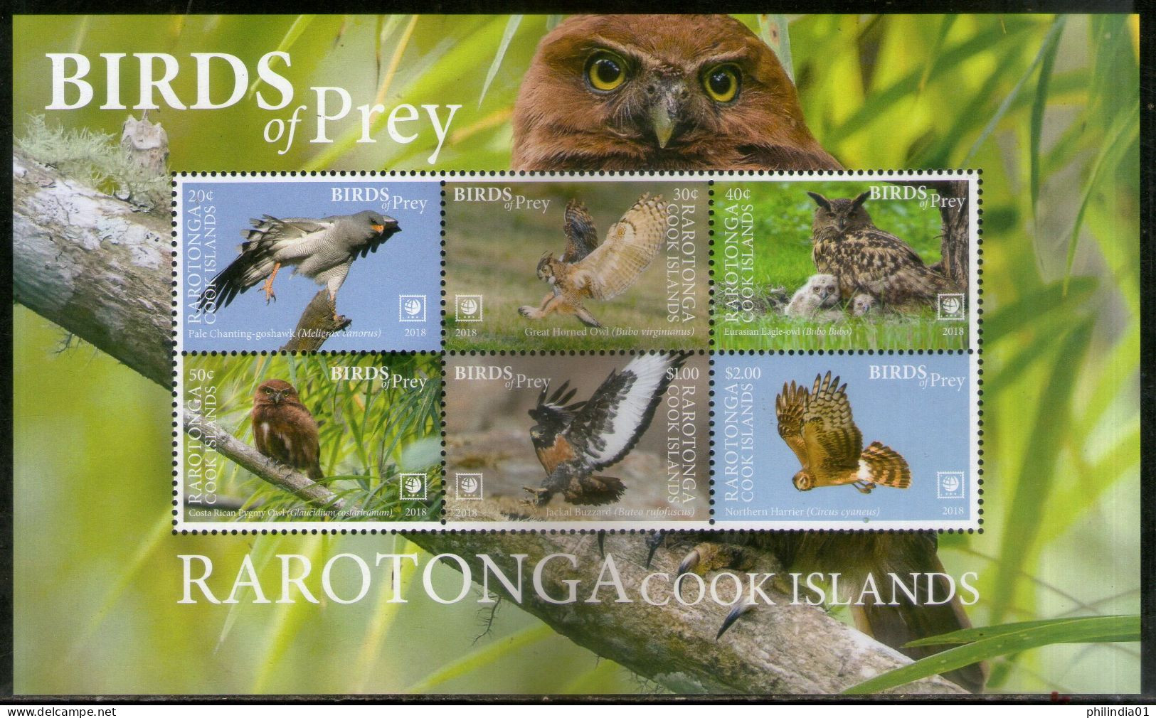 Rarotonga Cook Islands 2018 Birds Of Prey Eagle Wildlife Sheetlet MNH # 9011 - Águilas & Aves De Presa