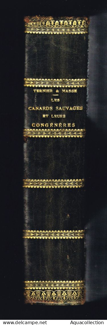 Livre "LES CANARDS SAUVAGES ET LEURS CONGENERES". EO 1908. LOUIS TERGNIER & FERNAND MASSE. 751 Pages. - Fischen + Jagen