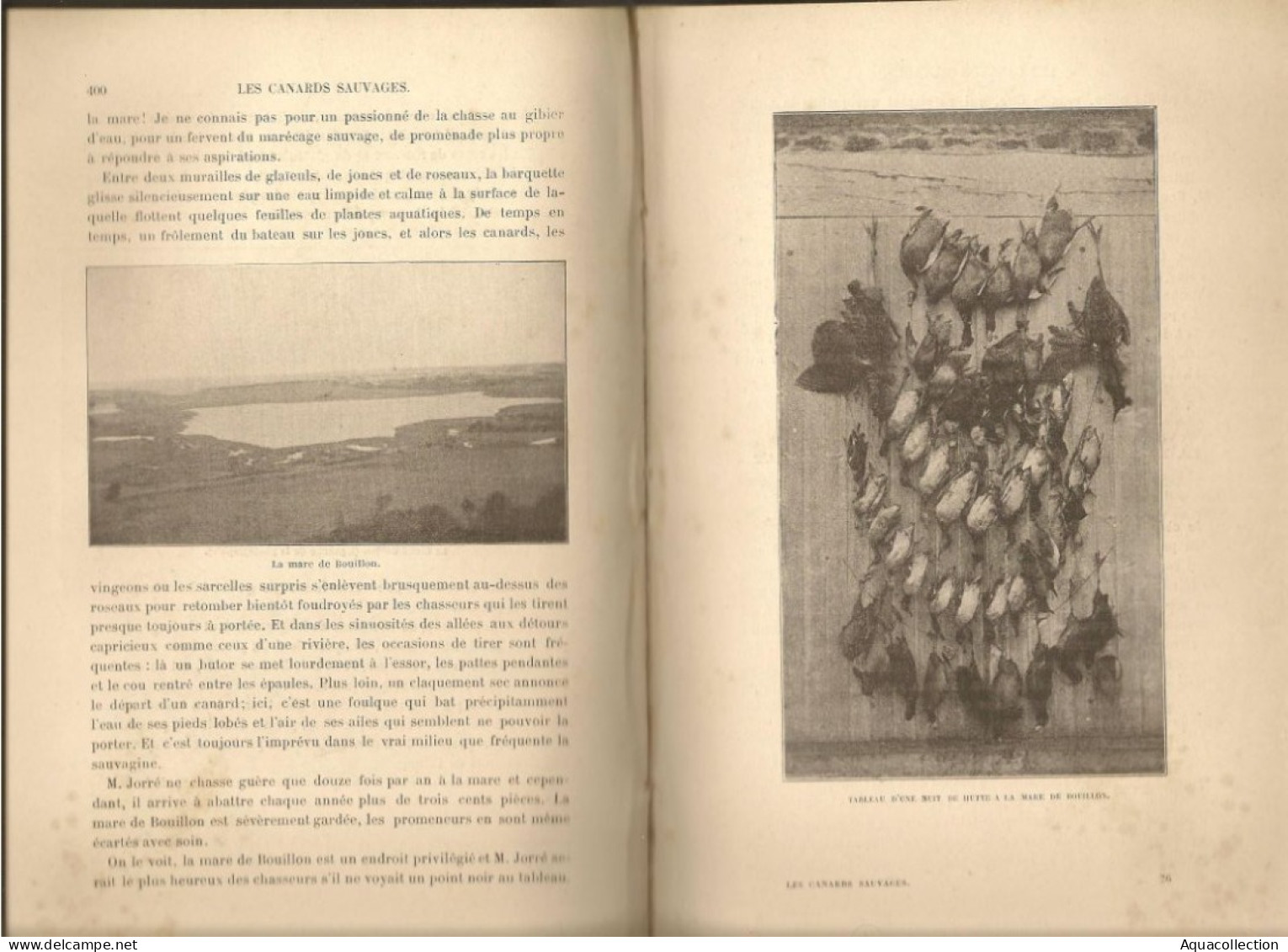 Livre "LES CANARDS SAUVAGES ET LEURS CONGENERES". EO 1908. LOUIS TERGNIER & FERNAND MASSE. 751 Pages. - Fischen + Jagen