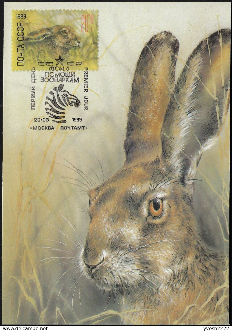 URSS 1989 Y&T 5616. Carte Maximum. Écureuil - Rabbits