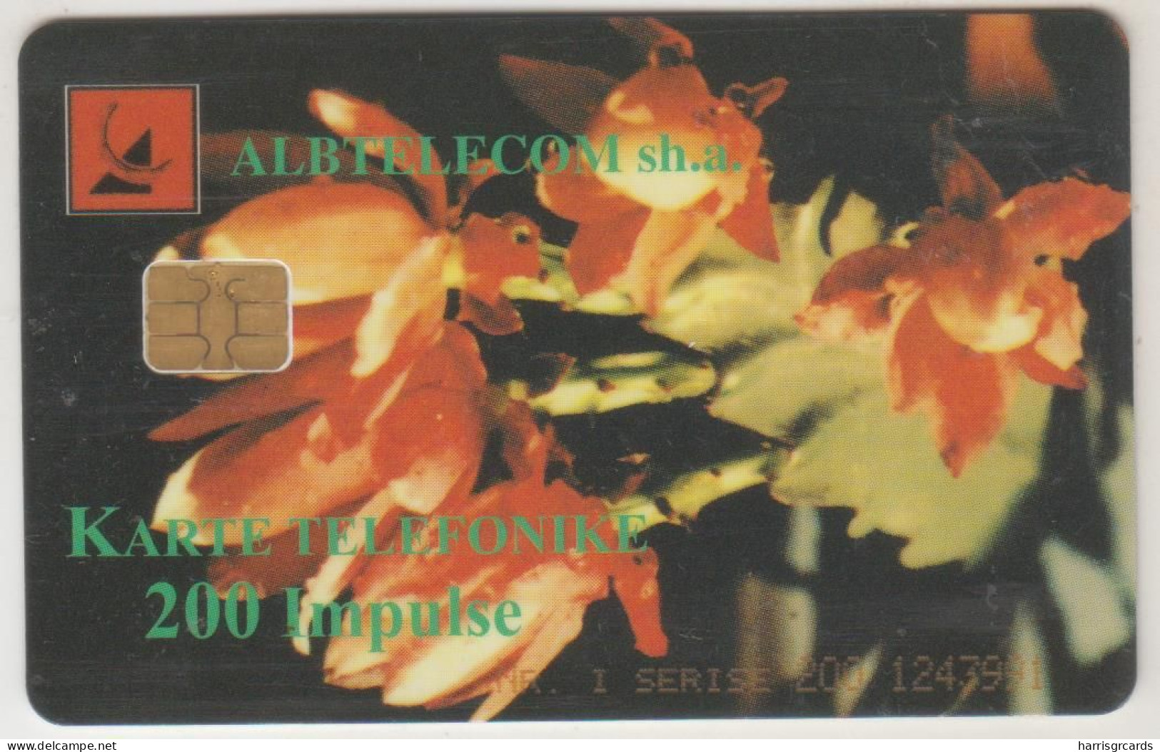 ALBANIA - Flower ,CN: Orange, 07/99, Tirage 30.000, 200 U, Used - Albanien