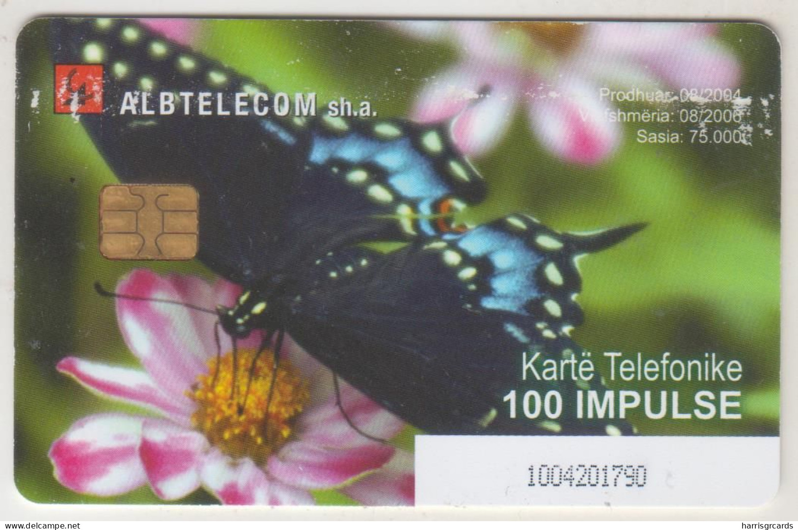 ALBANIA - Butterfly ,CN: Black, 08/04, Tirage 75.000, 100 U, Used - Albanien