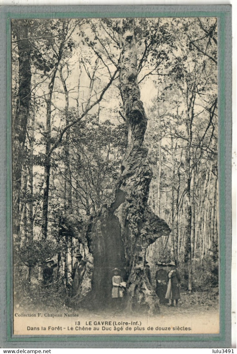 CPA (44) Le GAVRE - Thème: ARBRE - Le Chêne Au Duc, Douze Siècles D'âge -1910 - Le Gavre