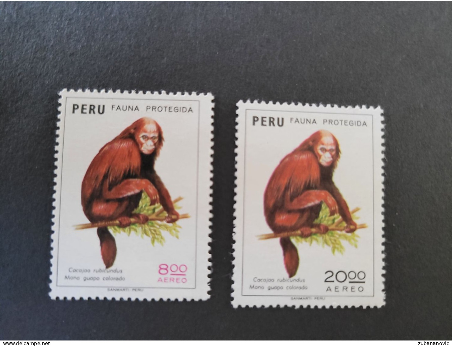 Peru 1974 Monkey - Apen