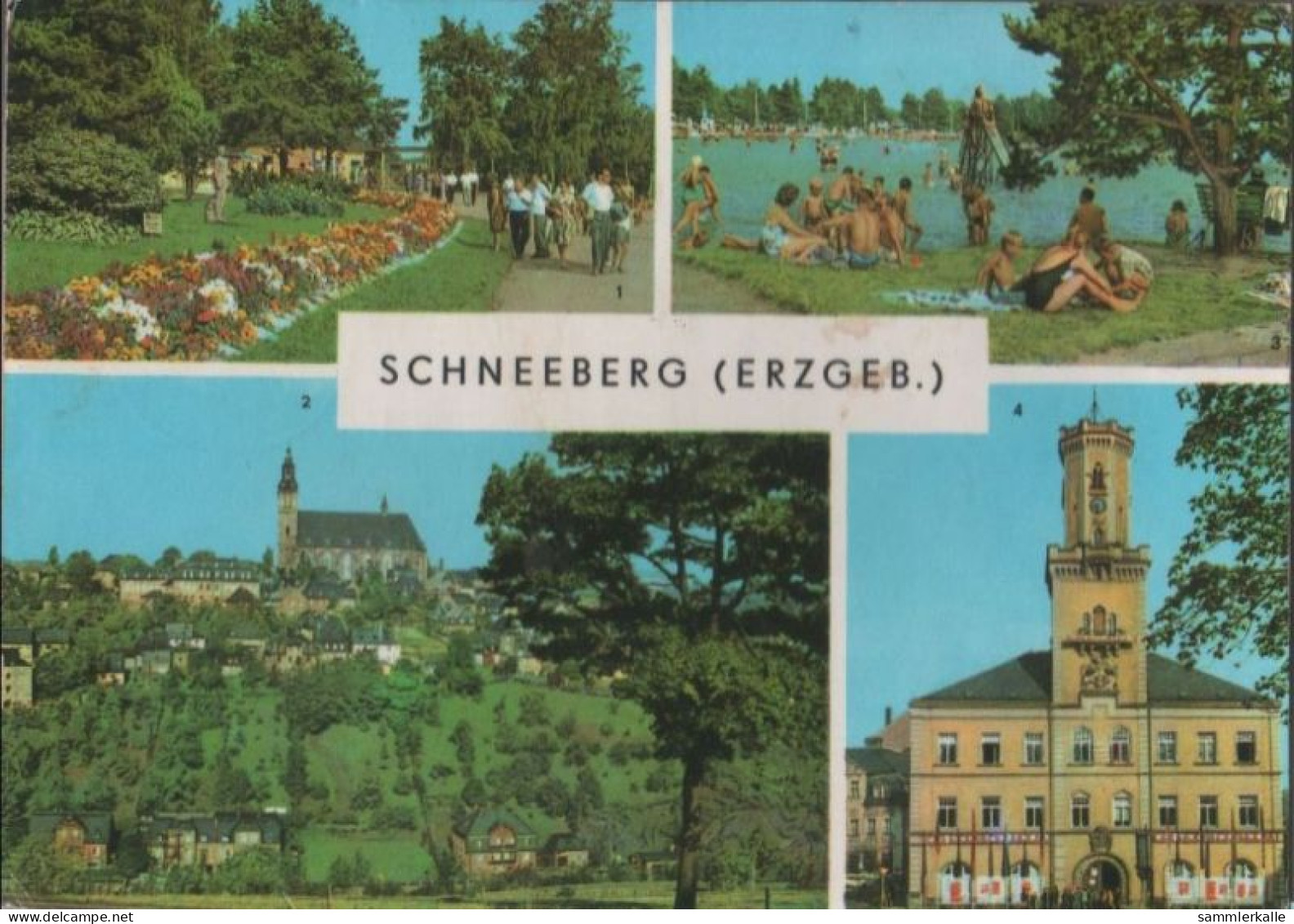 39028 - Schneeberg - U.a. Filzteich - 1975 - Schneeberg