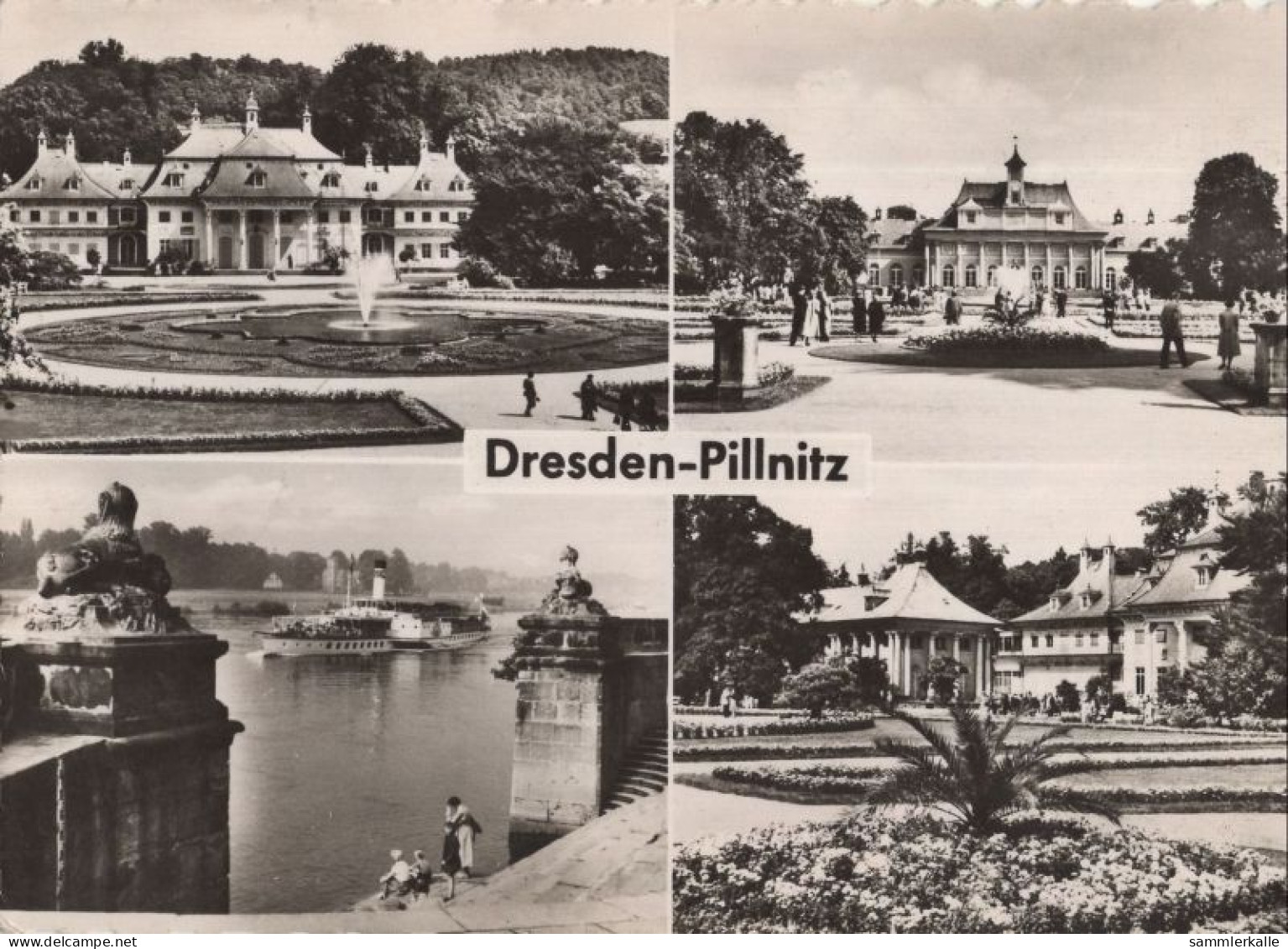 134771 - Dresden-Pillnitz - 4 Bilder - Pillnitz