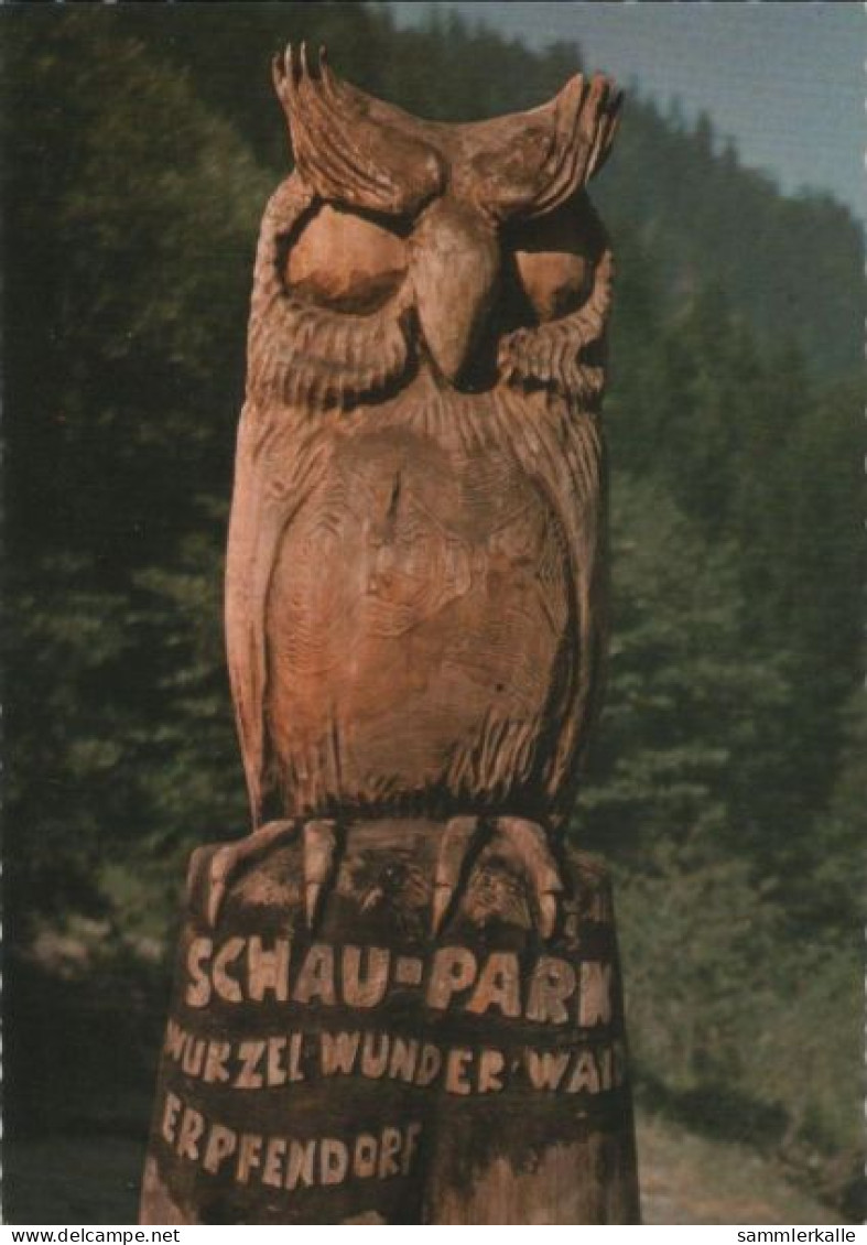 97476 - Österreich - Erpfendorf - Wurzelwunderwald - Ca. 1980 - Kitzbühel