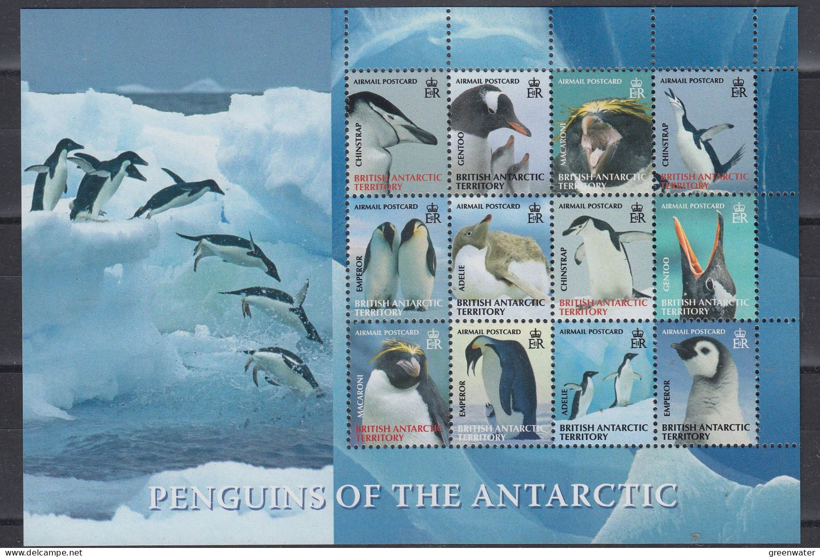 British Antarctic Territory (BAT) 2008 Penguins Of The Antarctic M/s ** Mnh (ZO156) - Nuovi