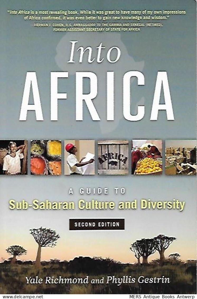 Into Africa: A Guide To Sub-Saharan Culture And Diversity - Africa