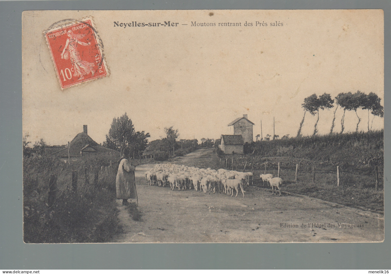 CP - 80 - Noyelles-sur-Mer - Moutons Rentrant Des Prés Salés - Noyelles-sur-Mer