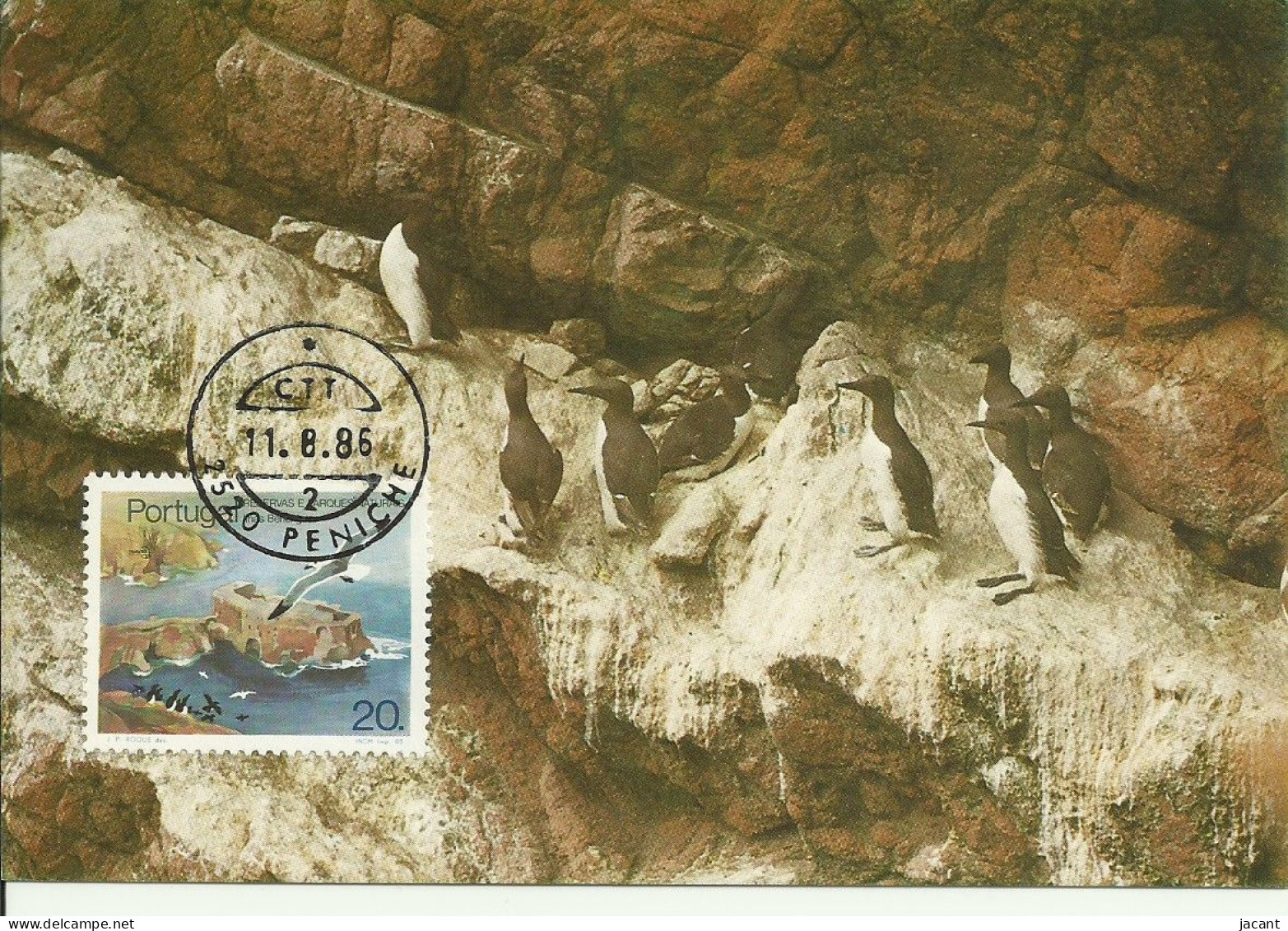 Carte Maximum - Oiseaux - Portugal - Airo - Guillemot De Troïl - Uria Aalge - Cartes-maximum (CM)