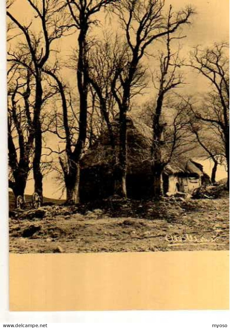 MONIER Charme Sauvage, Maison Toit De Chaume Dans Les Arbres - Monier