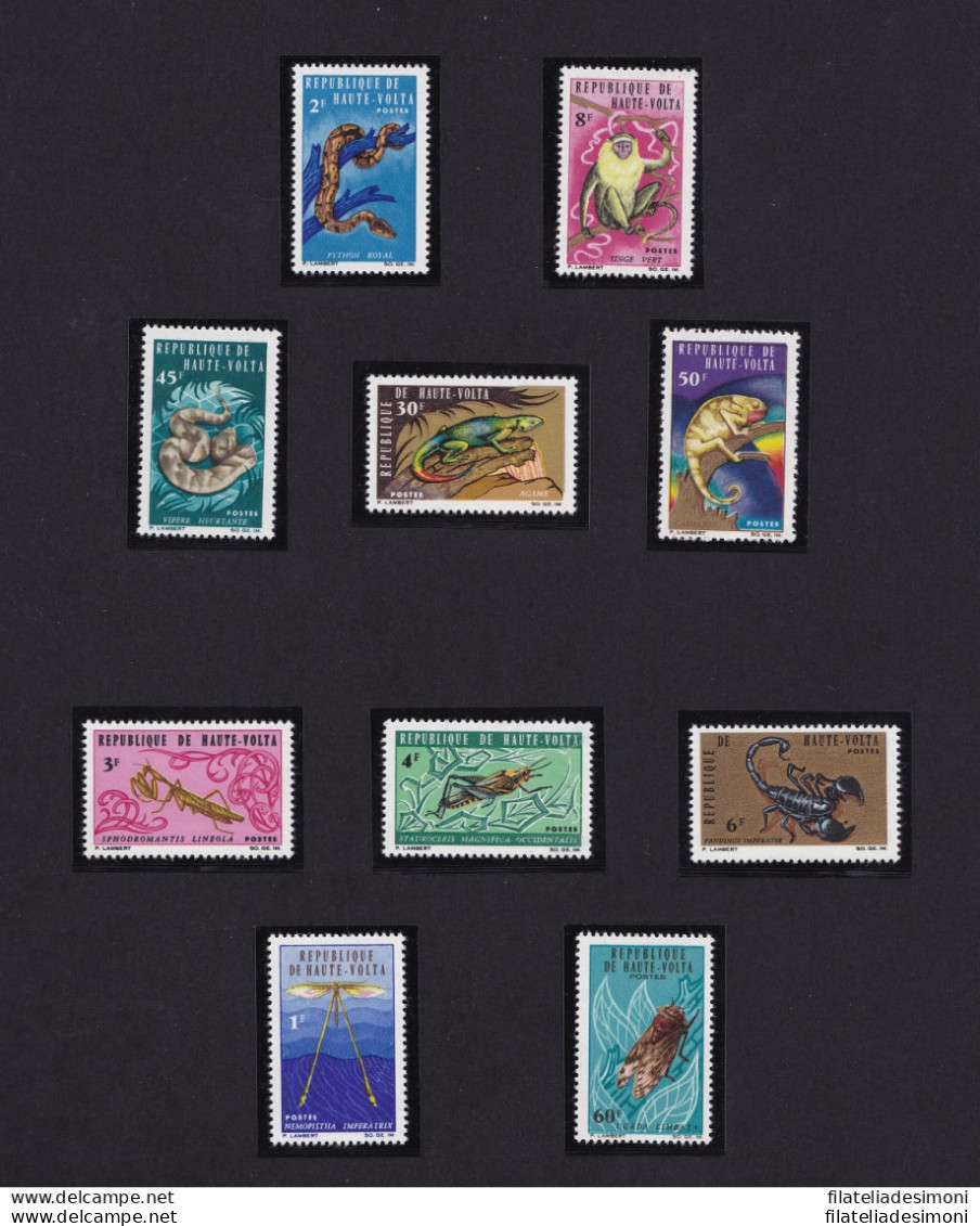 1962/65 ALTO VOLTA/HAUTE VOLTA - Animaux 35 Val. MNH/** - Andere & Zonder Classificatie