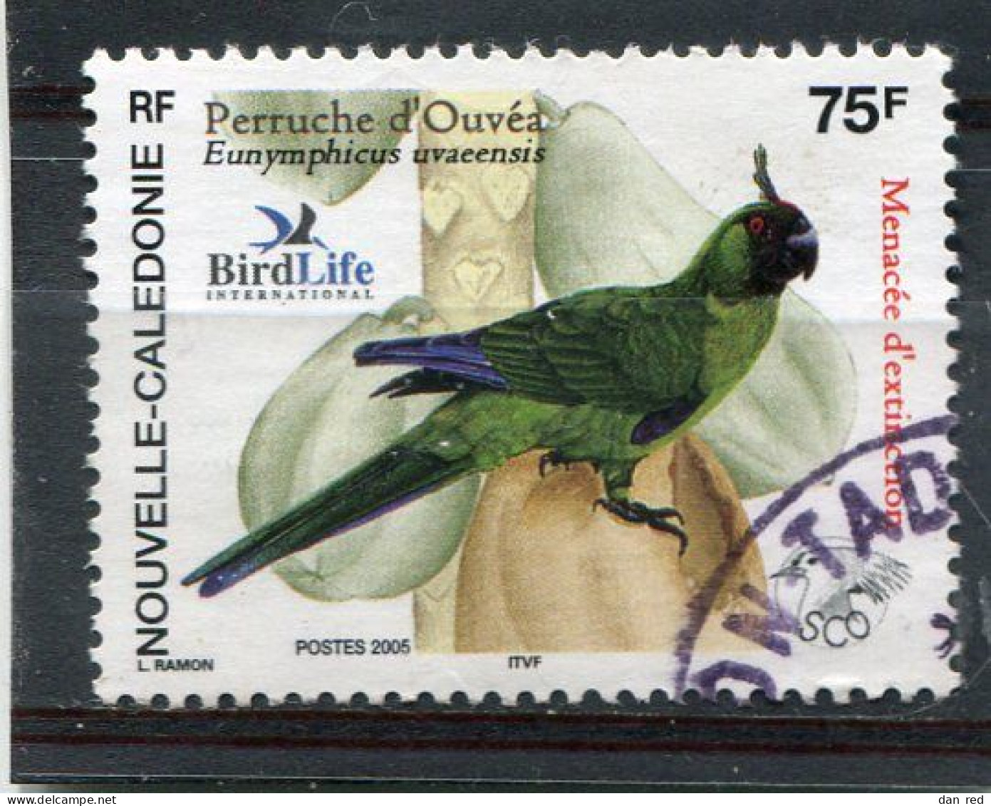 NOUVELLE CALEDONIE  N°  949  (Y&T)  (Oblitéré) - Used Stamps