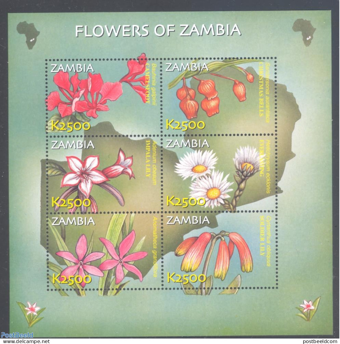 Zambia 2002 Flowers 6v M/s, Mint NH, Nature - Flowers & Plants - Zambia (1965-...)