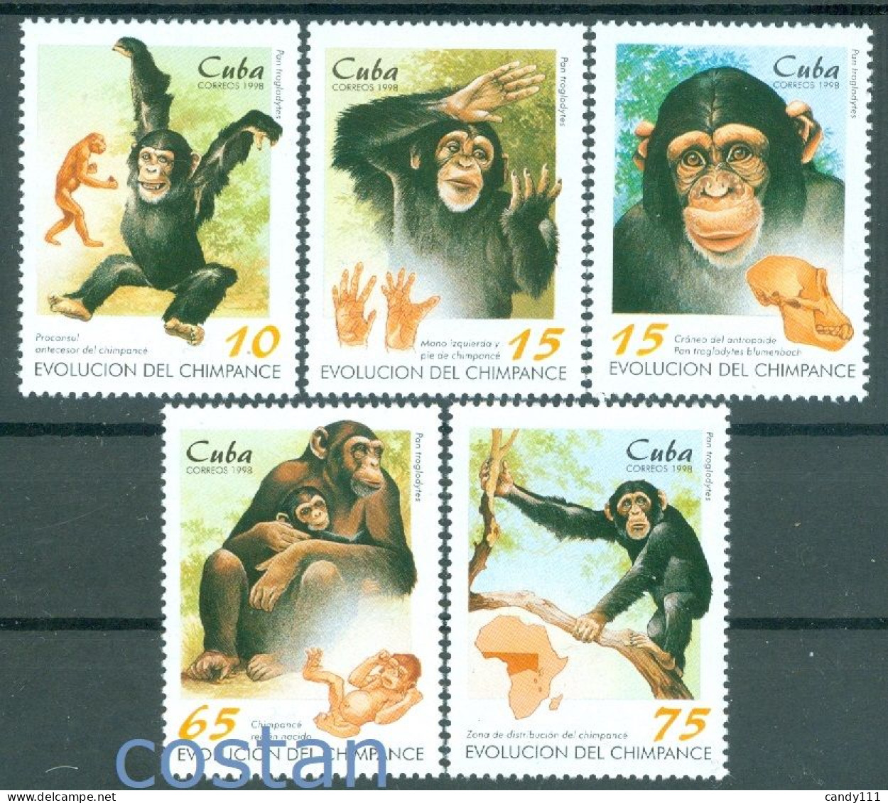 1998 Chimpanzee Evolution/Chimp,ape,Pan Troglodytes,hand,map,Cuba,4106,MNH - Chimpanzees