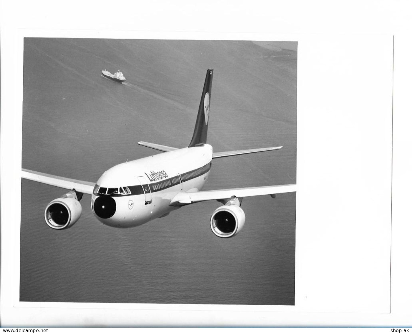C5432/ Lufthansa Flugzeug Airbus  A310 Foto 24 X 18 Cm 1983 - Autres & Non Classés